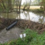 Installation of a beaver deceiver in the municipality of Lendava